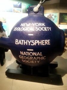 bathysp
